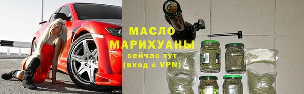 прущие грибы Горно-Алтайск