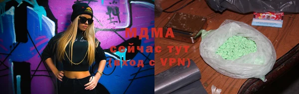 прущие грибы Горно-Алтайск