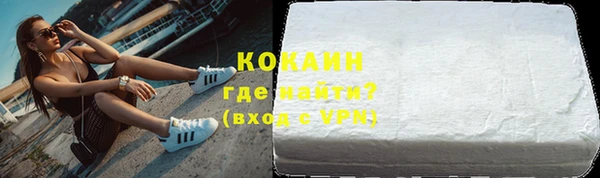 прущие грибы Горно-Алтайск