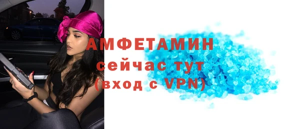 прущие грибы Горно-Алтайск