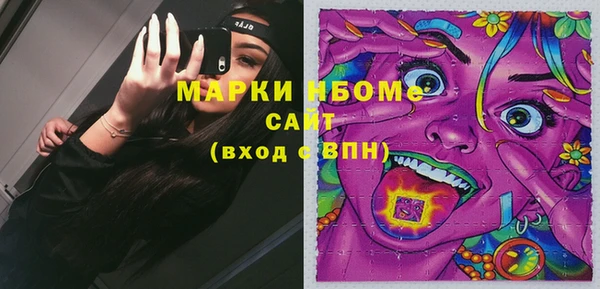 прущие грибы Горно-Алтайск