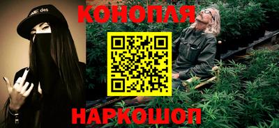 тгк Гай