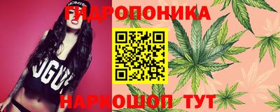 apvp Апрелевка