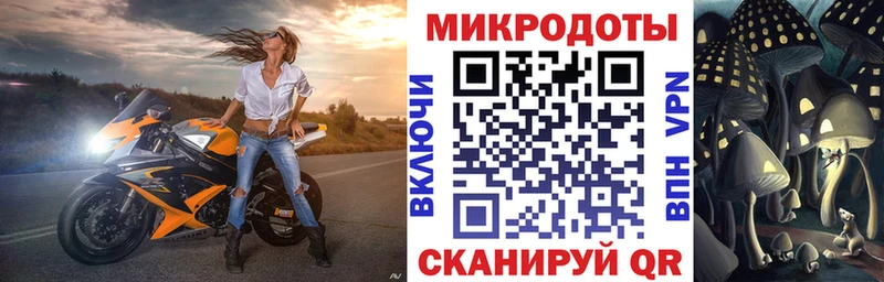 как найти наркотики  Дмитров  Псилоцибиновые грибы ЛСД 