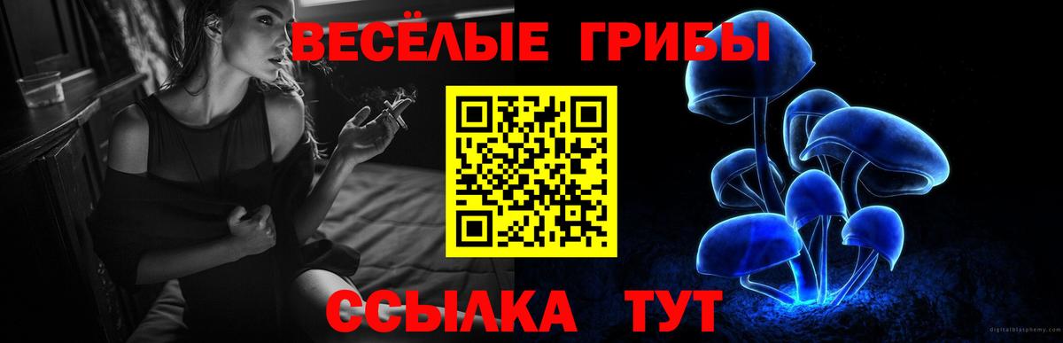 Дмитров  Псилоцибиновые грибы Cubensis  Галлюциногенные грибы мицелий  Вход с VPN 